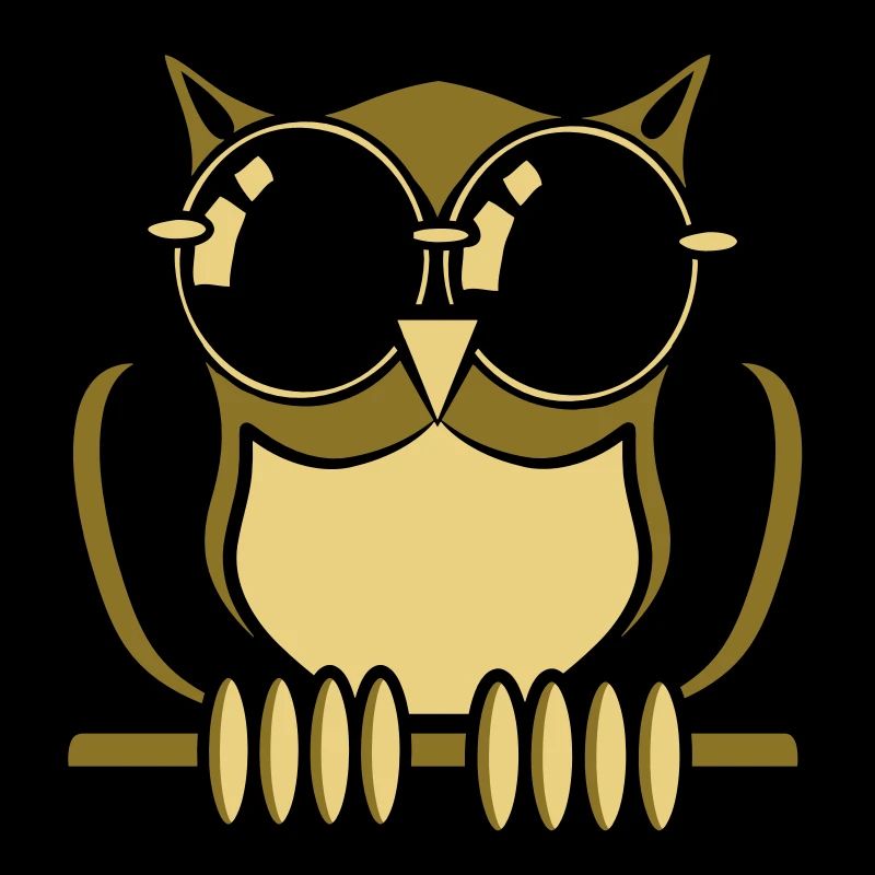 Lunettes de soleil chouette oiseau forestier