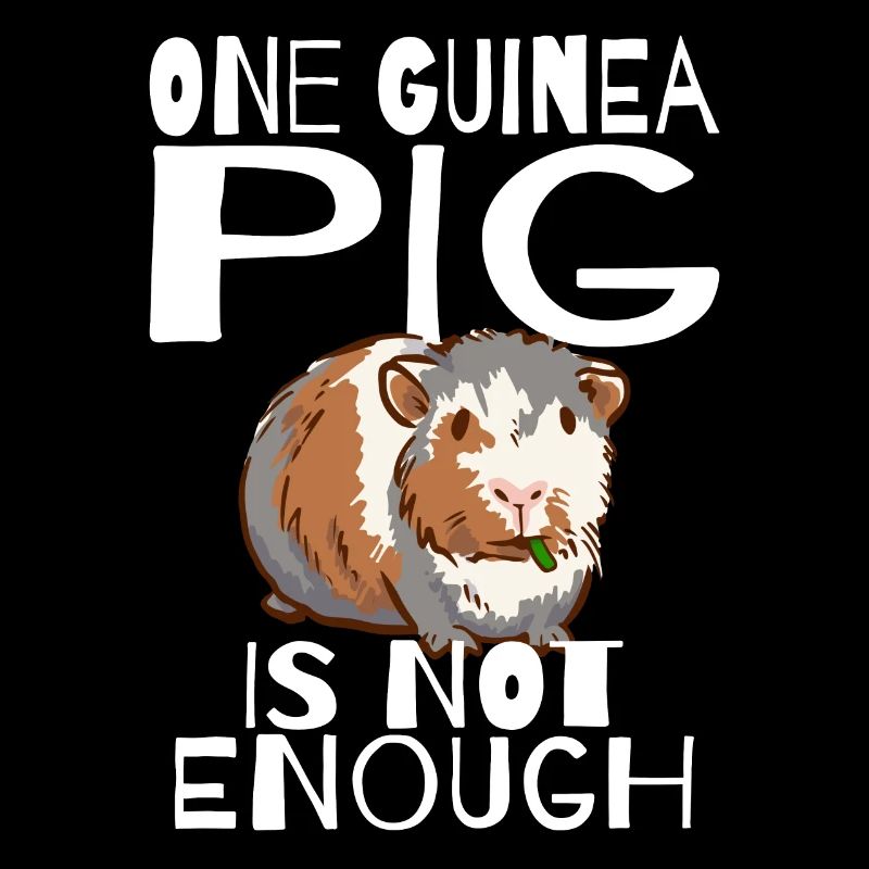 Cadeau d’animal de compagnie de propriétaire de fan de cochon d’Inde