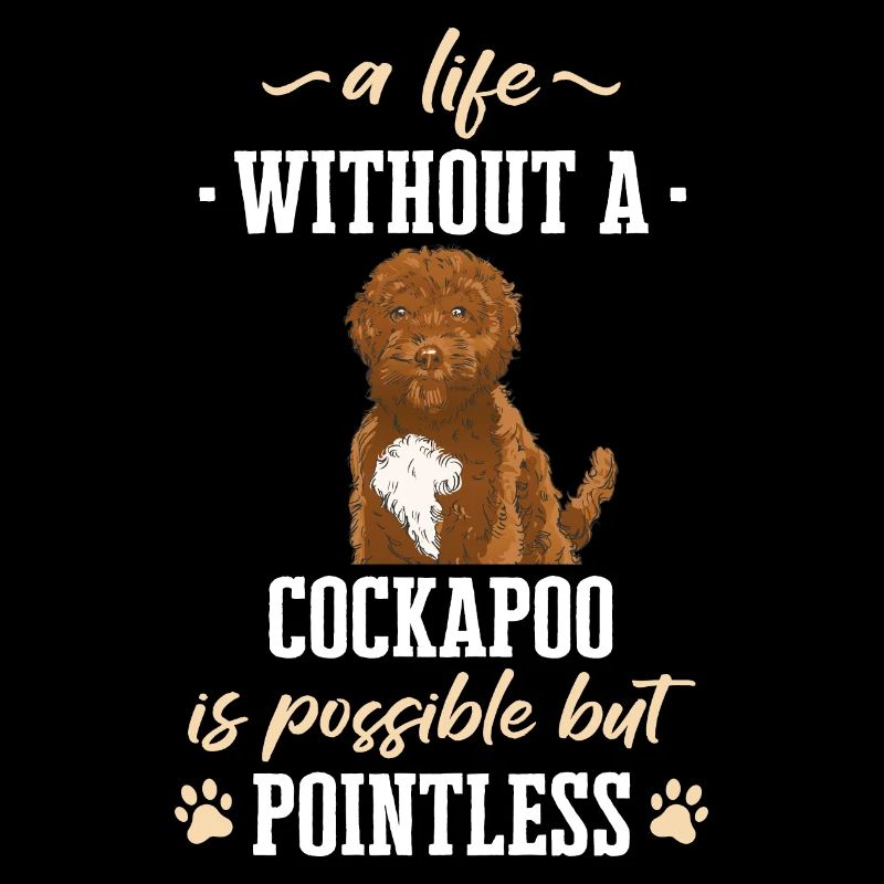 Cockapoo Chien