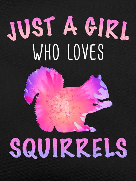 Squirrel Animal