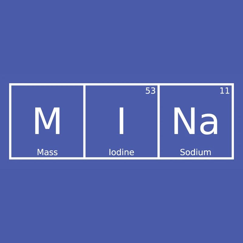 Mina Name First Name Chemistry Periodic Table Elements