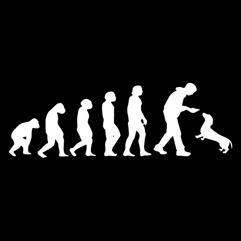 Evolution Chien Animal Blaireau Teckel Chien