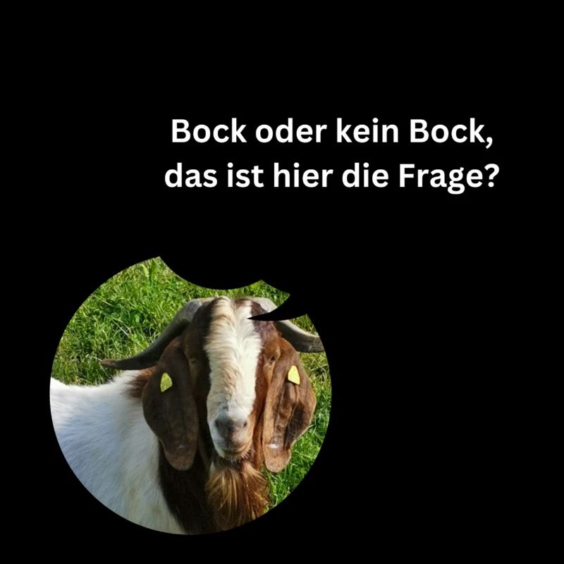 Chemise amusante « Bock oder kein Bock... »