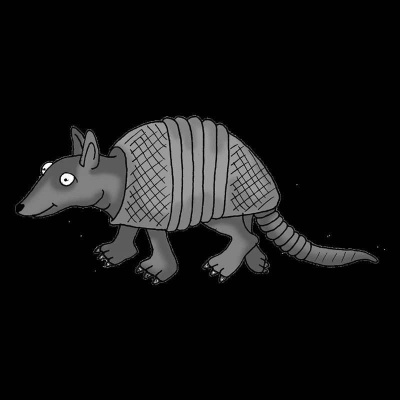 Armadillo 1