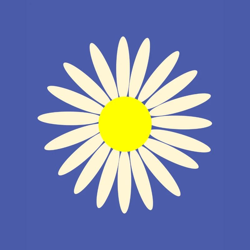gaensebluemchen