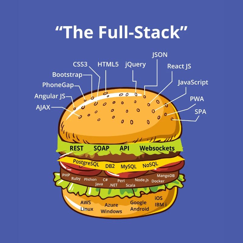 Computer Programmierer Programmierer Software Burger Liebhaber