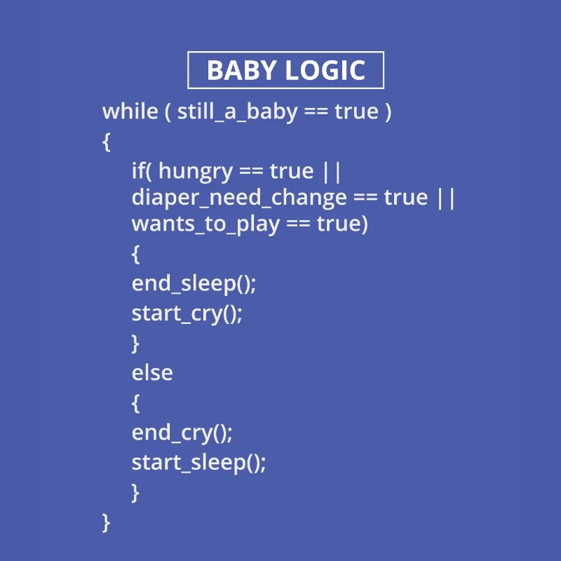 Programmeur informatique Codeurs Software Engineers Gift