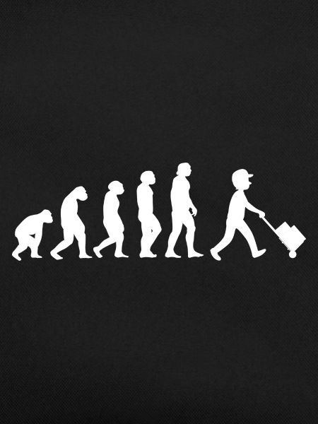Evolution Paketbote