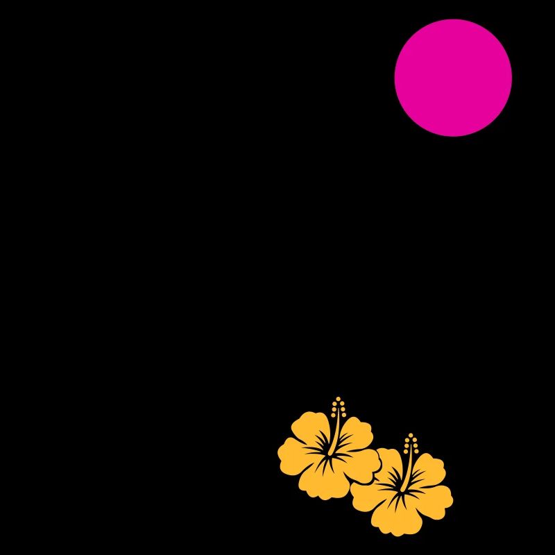 Palm Coucher de soleil