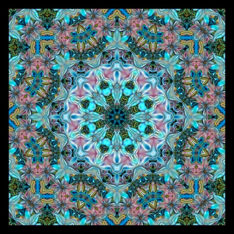 KALEIDOSCOPE LYS ABSTRAITS 2 FLEURS 2
