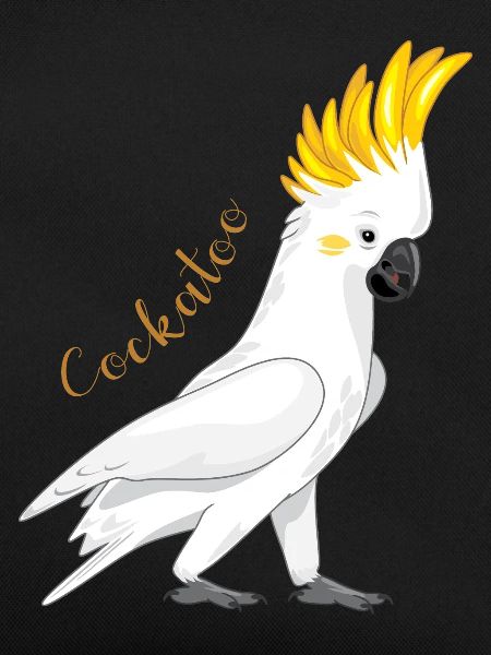 Cockatoo
