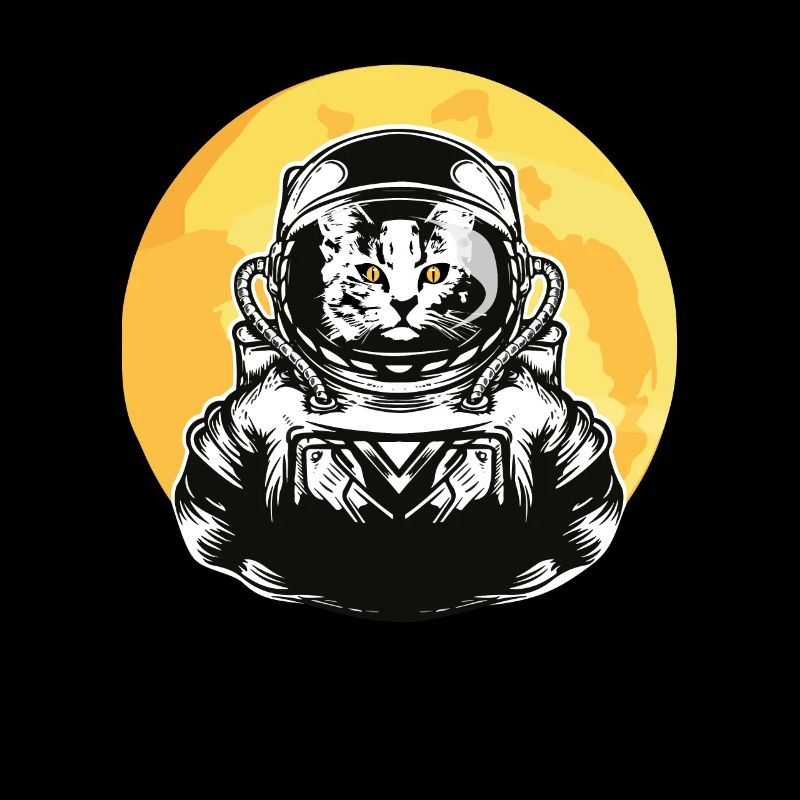 Chat astronaute, catronaute, chat dans l'espace