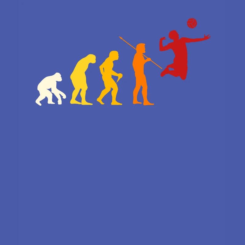 Conception de Volleyball Evolution