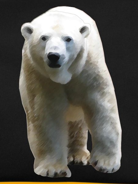 Polar Bear - Eisbär