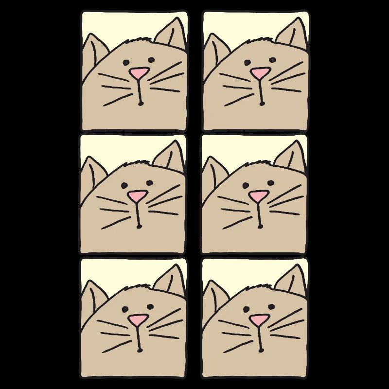 katzenbilder