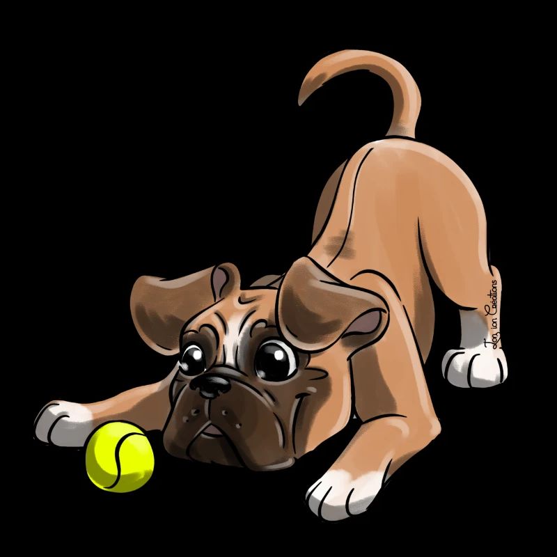 Le plus mignon Boxer