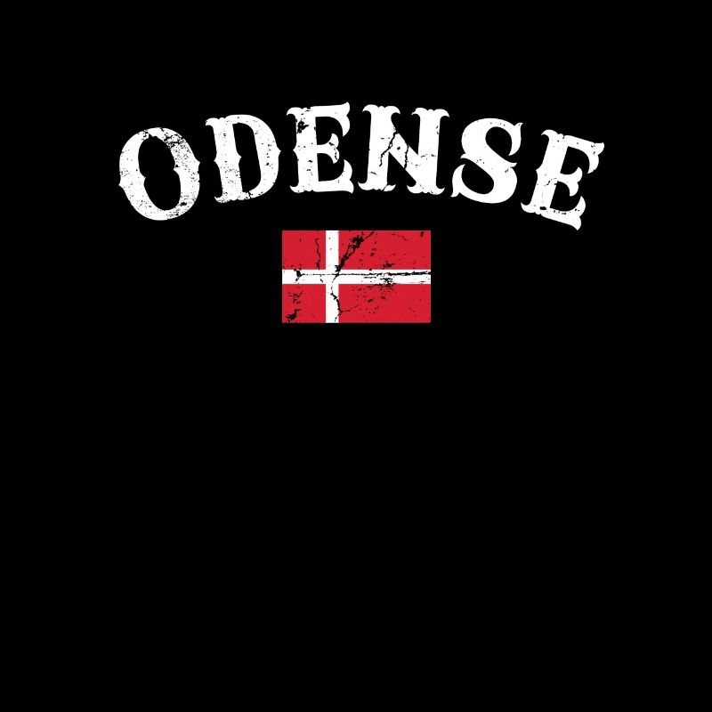 Odense Danemark Vintage Danish Flag Dane