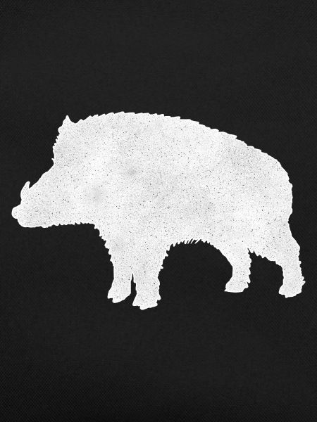 Wild boar
