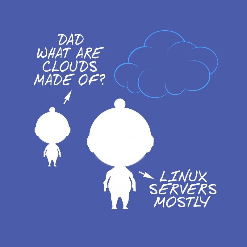 Programmer