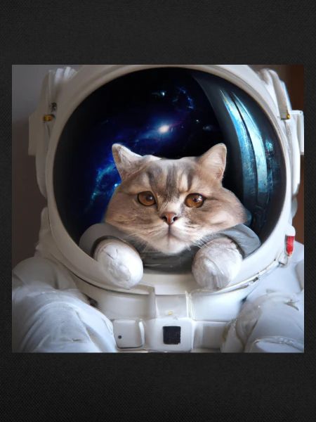 Cat in space