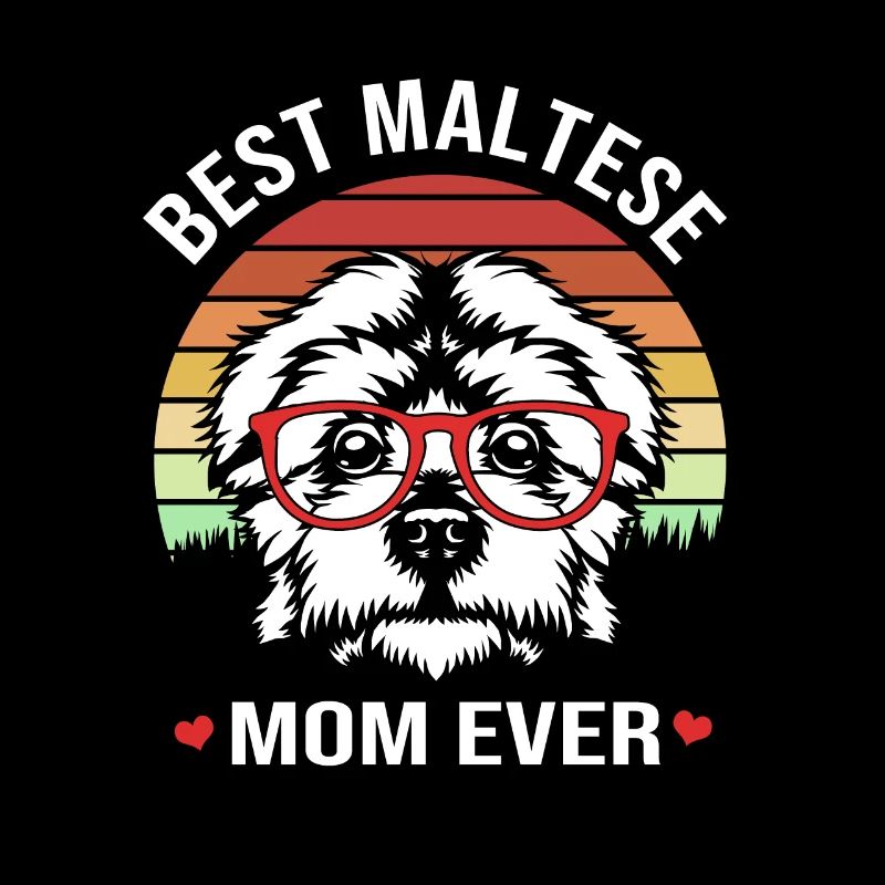 Maltese