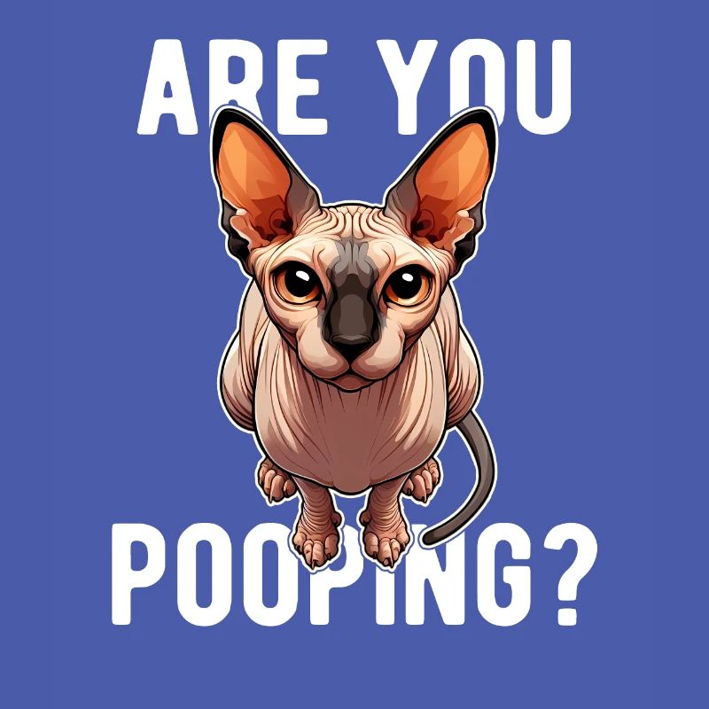 Est-ce que tu fais caca ? Drôle de chat Sphynx