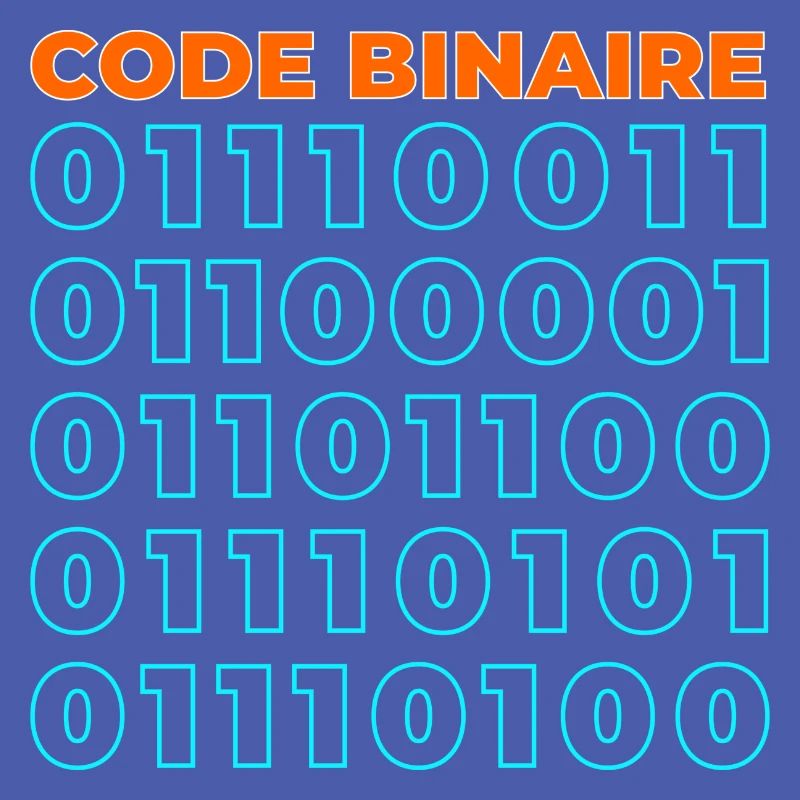 Code binaire