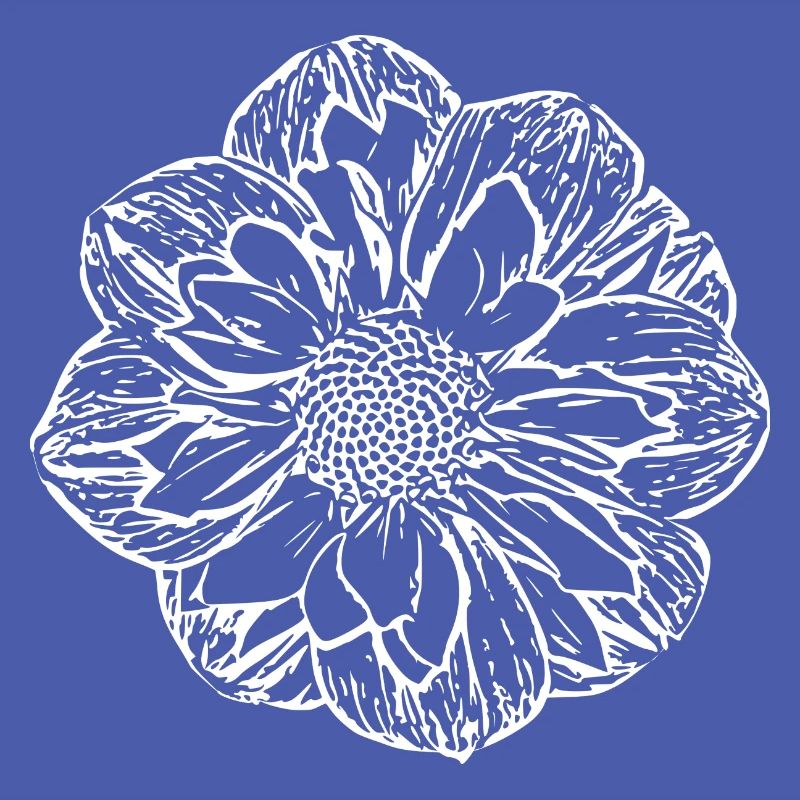 Fleur, Blanc, Fleur Blanche