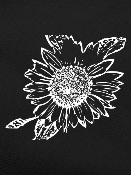 Sunflower white