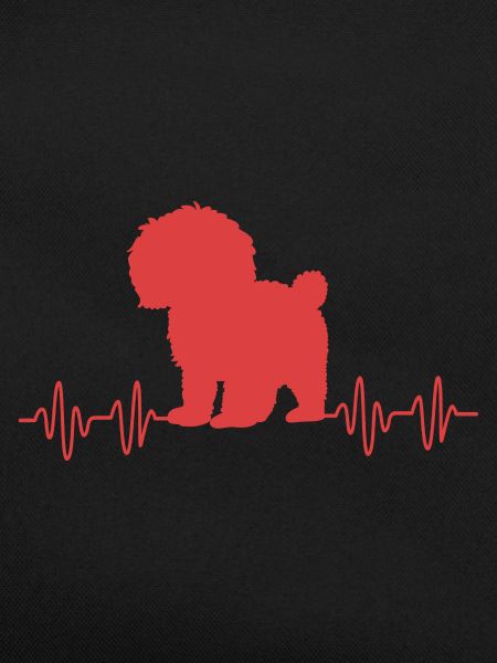 Goldendoodle