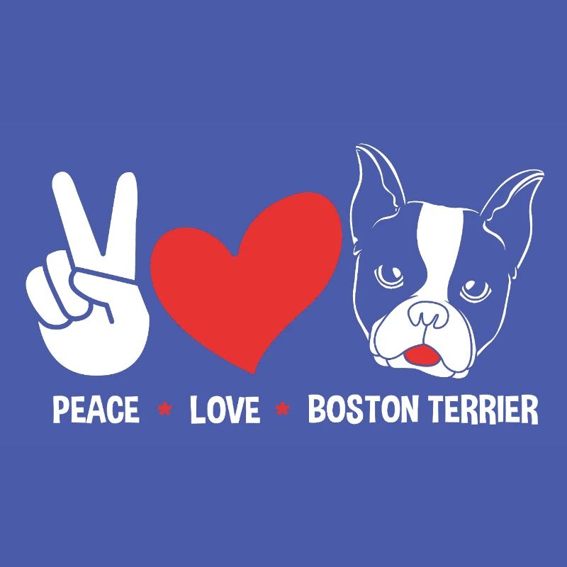 Boston Terrier