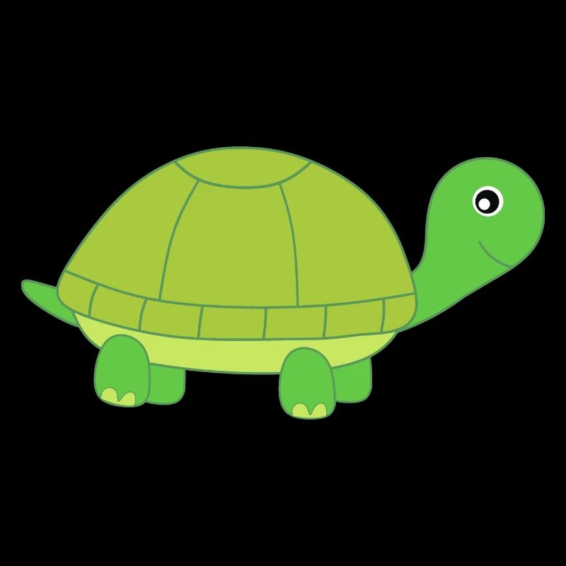Turtle Turtles