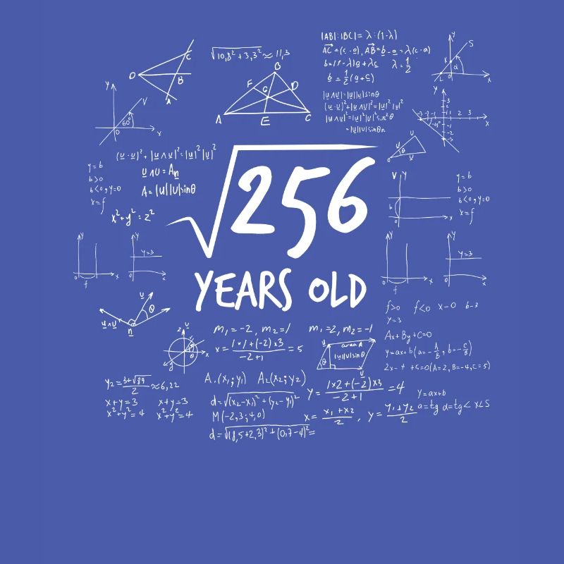 16th birthday root from 256 math nerd