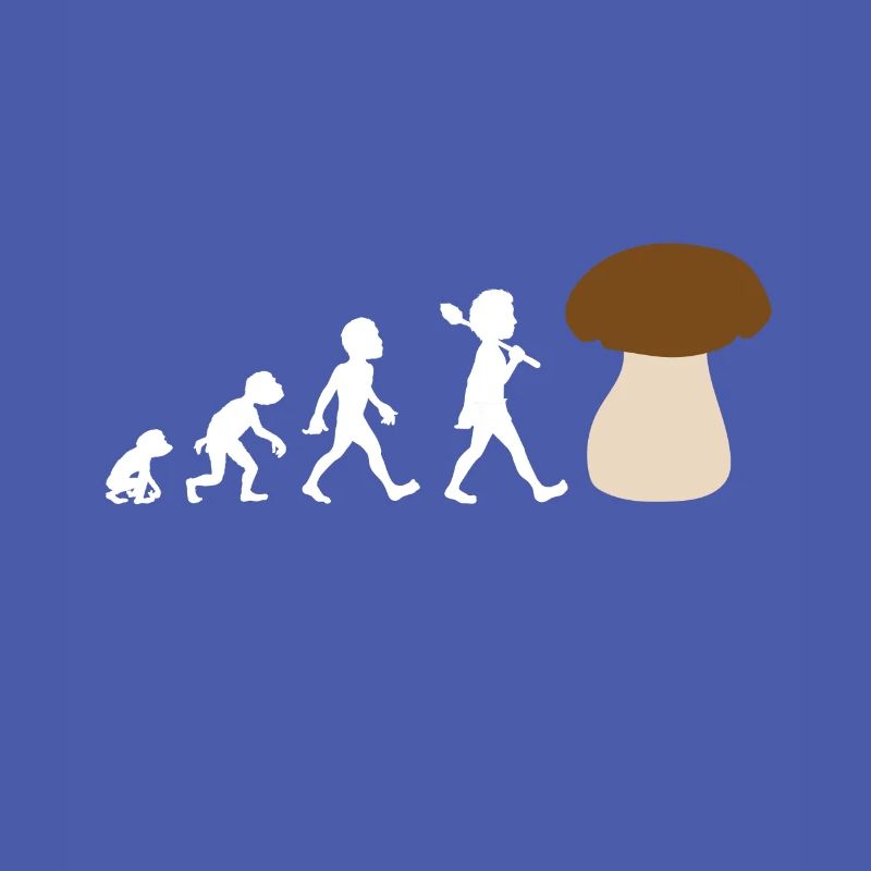 Conception de l'évolution d'un cèpe