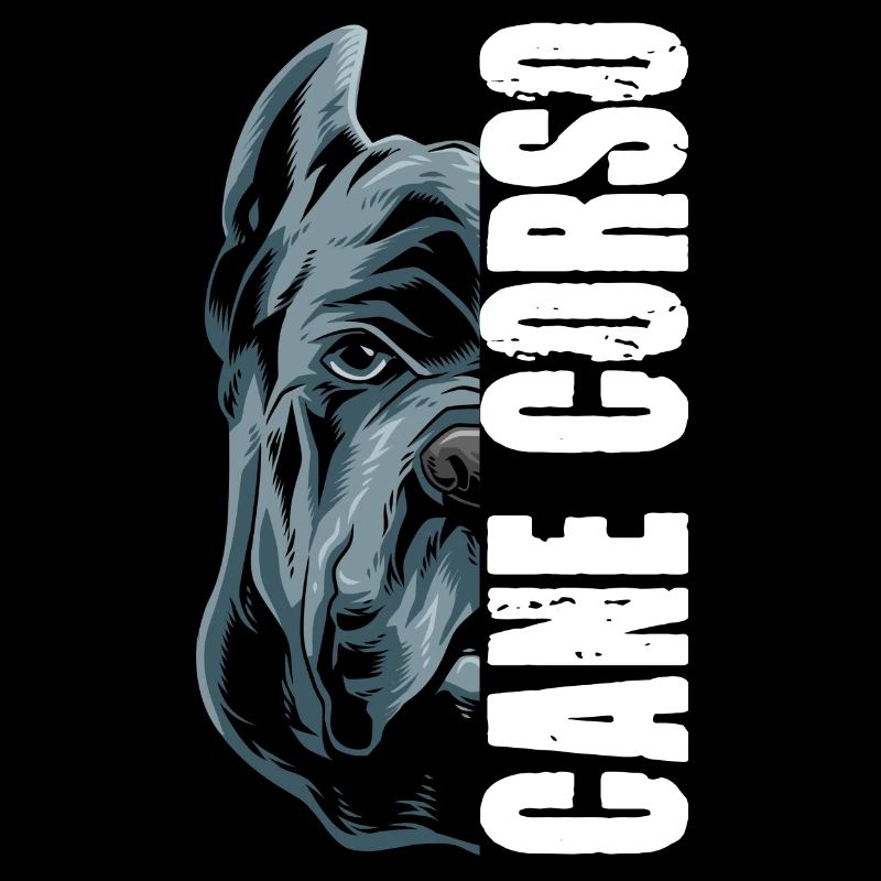 Cane Corso Italiano für einen Cane Corso