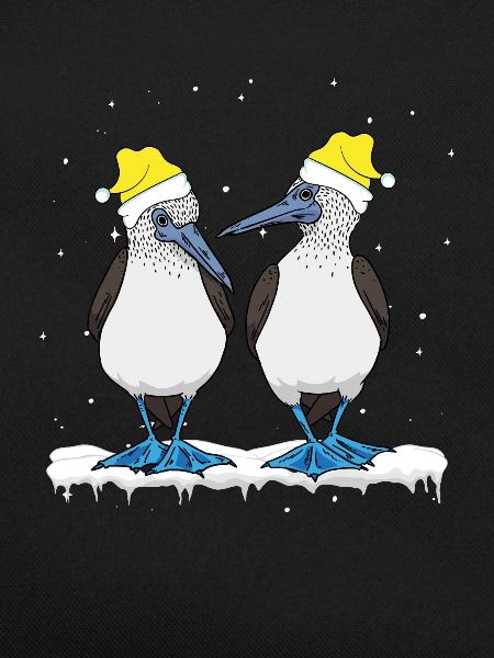 Seabirds Blue-footed