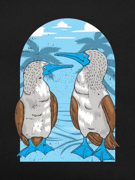 Seabirds Blue-footed