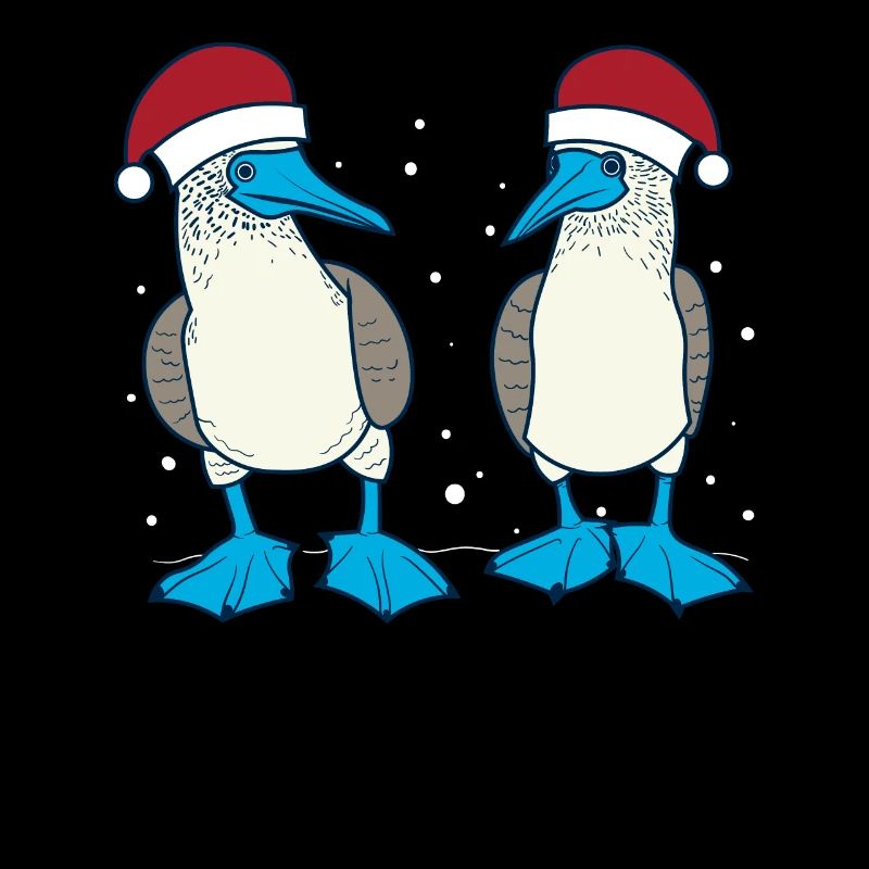 Fou à pieds bleus Noël