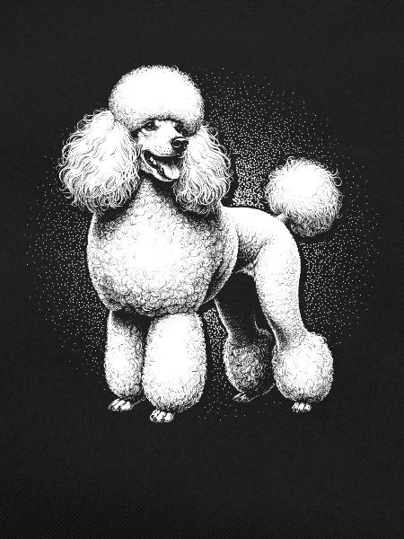 Poodle Dog