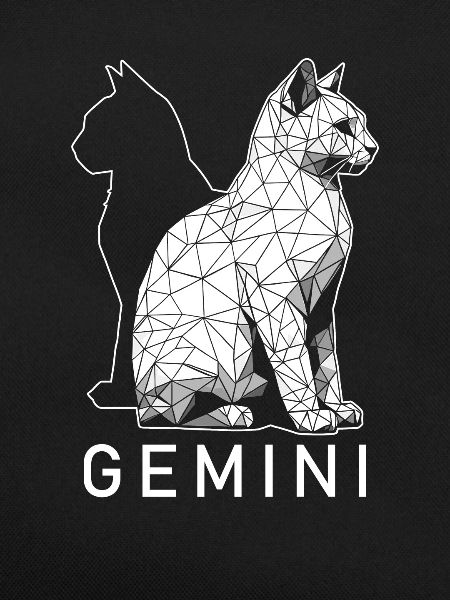 Chat Gémeaux
