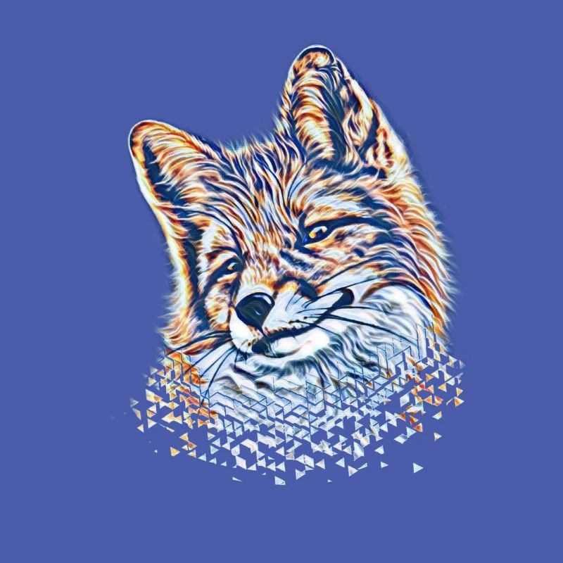 Fox