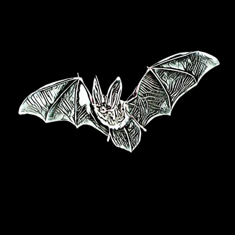 Fledermaus
