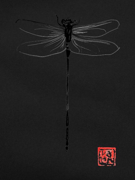 dragonfly