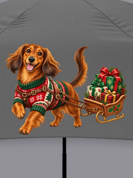 Weihnachtshund im Pullover mit Schlitten