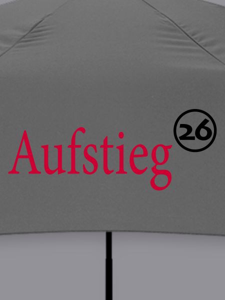 Aufsteiger 2026 Aufstieg