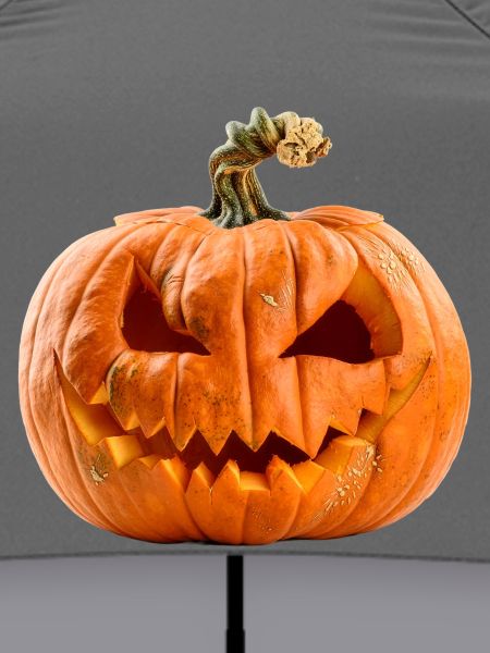 Pumpkin Halloween