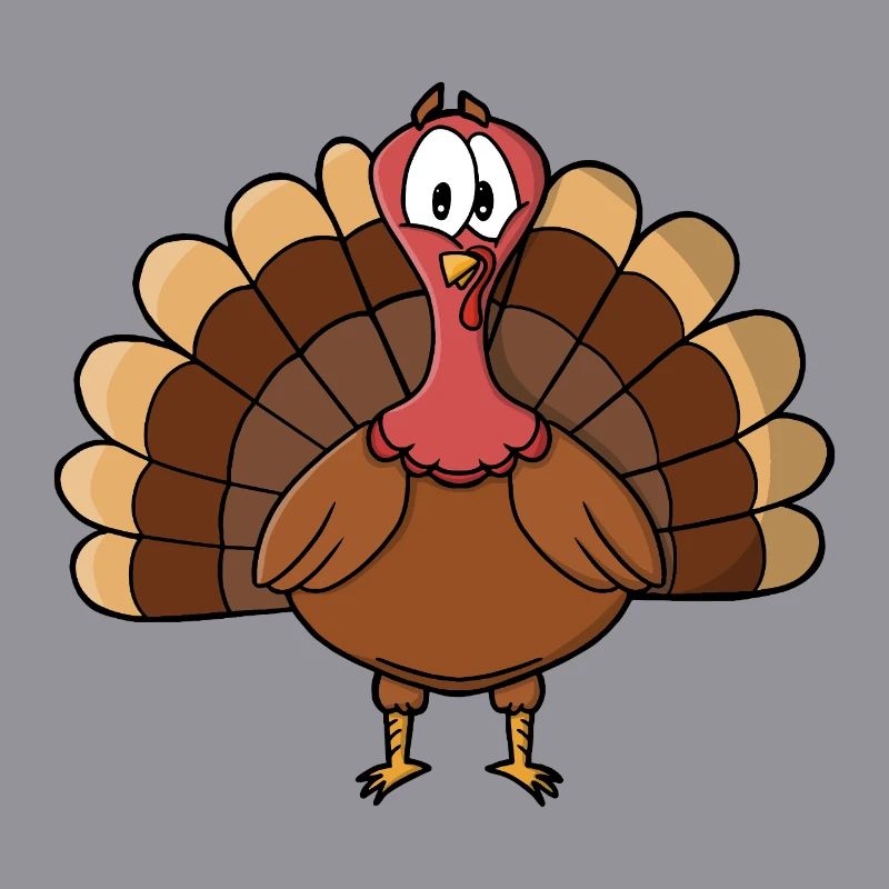 Dinde à queue large