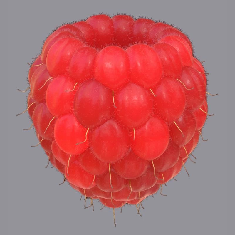 Raspberry Cluster Pattern