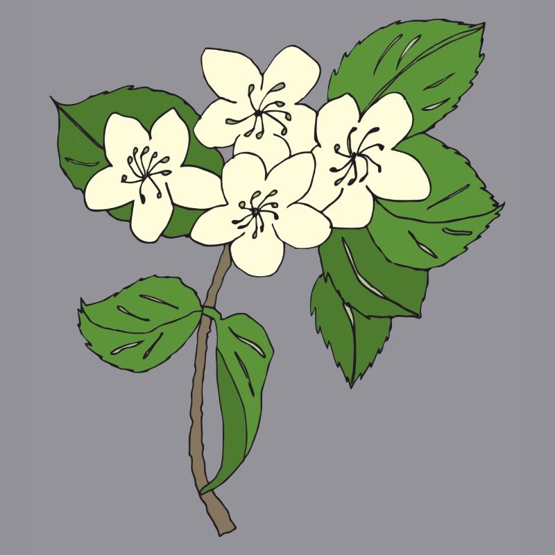 pear tree blossoms