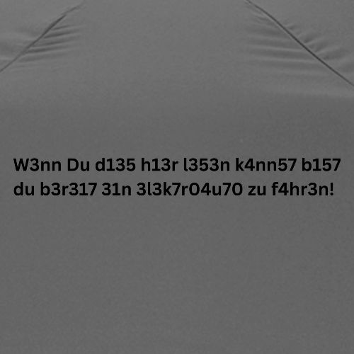 Elektroauto-Spruch Kryptisch - Regenschirm (klein)